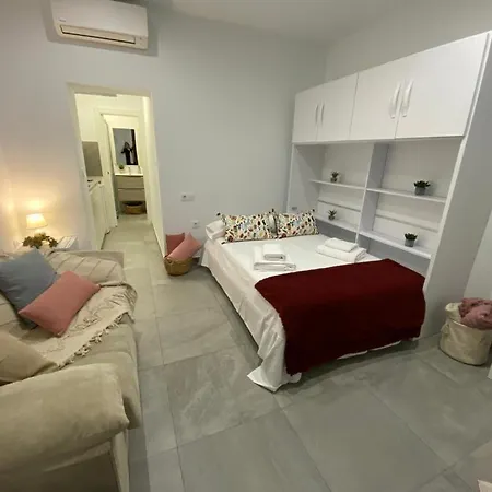 Canete Medica Fleming